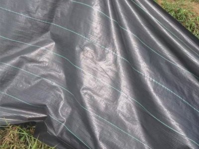 防草布（1）